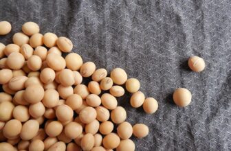Proteína de Soja – Suplementos em Revisão