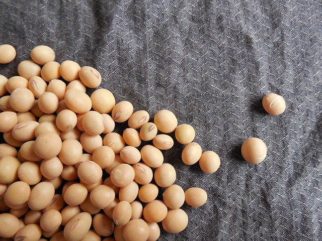 Proteína de Soja 3 Proteína de Soja – Suplementos em Revisão