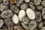 Proteína Chia