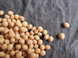 Proteína de Soja
