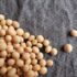 Proteína de Cânhamo –